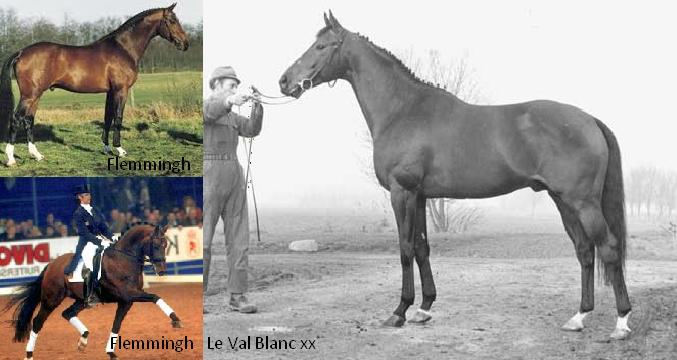 Vader en moeders vader